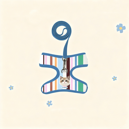 Custom Pet Portrait Harness & Leash Set | Personalized Dog Cat Walking Gear | Pet Gift