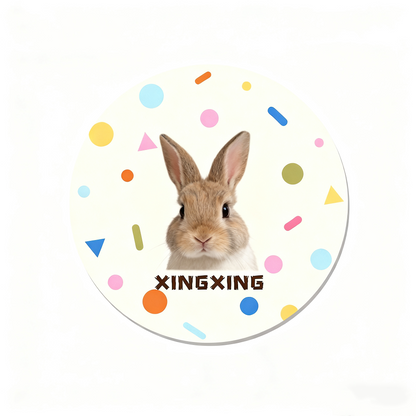 Custom Pet Portrait Rug | Personalized Dog Cat Carpet | Unique Pet Lover Gift