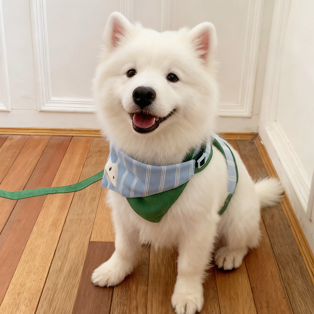 Custom Pet Portrait Coil Mat | Personalized Dog Cat Silky Loop Doormat | Pet Lover Gift