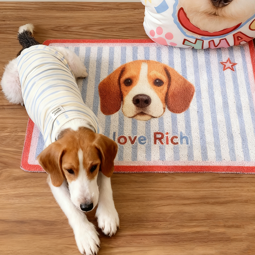 Custom Pet Portrait Coil Mat | Personalized Dog Cat Silky Loop Doormat | Pet Lover Gift
