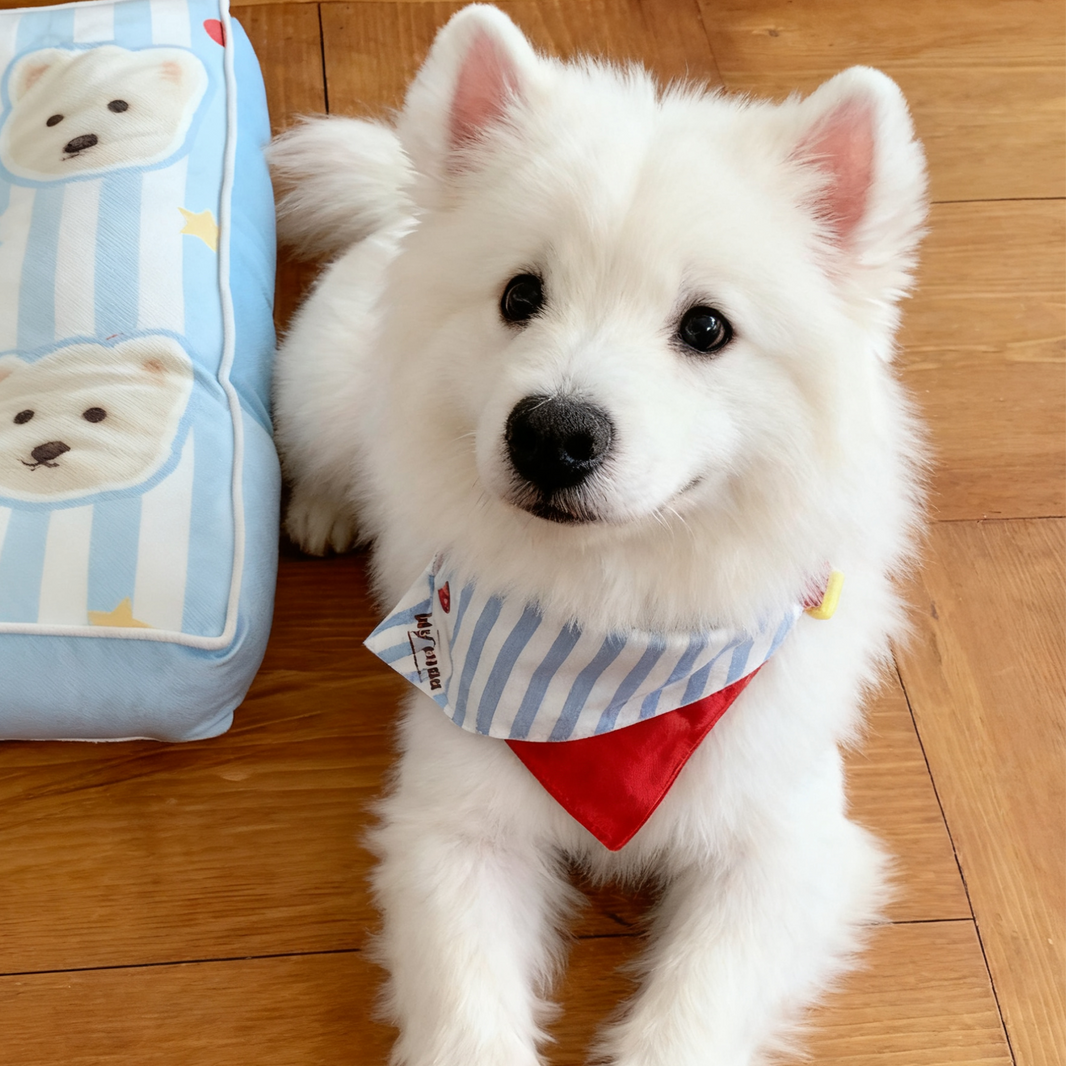 Custom Pet Portrait Coil Mat | Personalized Dog Cat Silky Loop Doormat | Pet Lover Gift