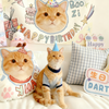 Custom Pet Birthday Tapestry | Personalized Dog Cat Party Decor