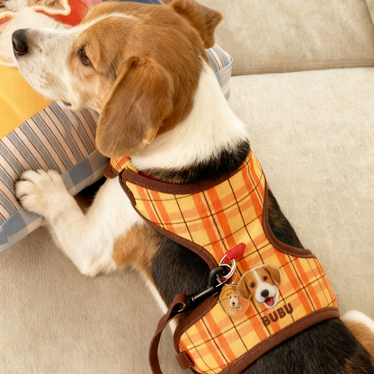 Custom Pet Portrait Harness & Leash Set | Personalized Dog Cat Walking Gear | Pet Gift