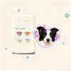 Custom Pet Portrait Fridge Magnet | Personalized Dog Cat Photo Magnet