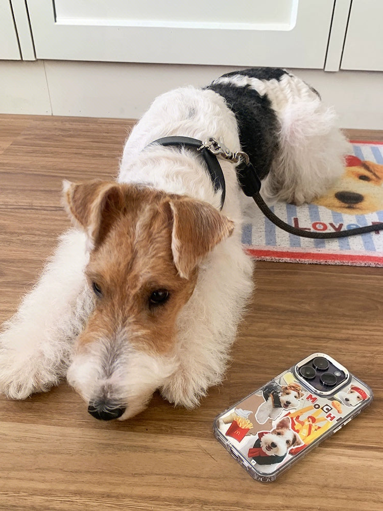 Custom phone cases printed with pet photos, showing a dog case on a table and a cat collage case being held
