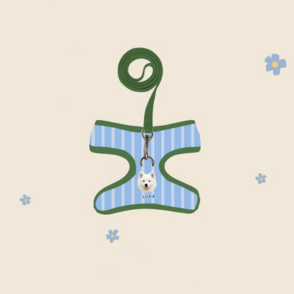 Custom Pet Portrait Harness & Leash Set | Personalized Dog Cat Walking Gear | Pet Gift