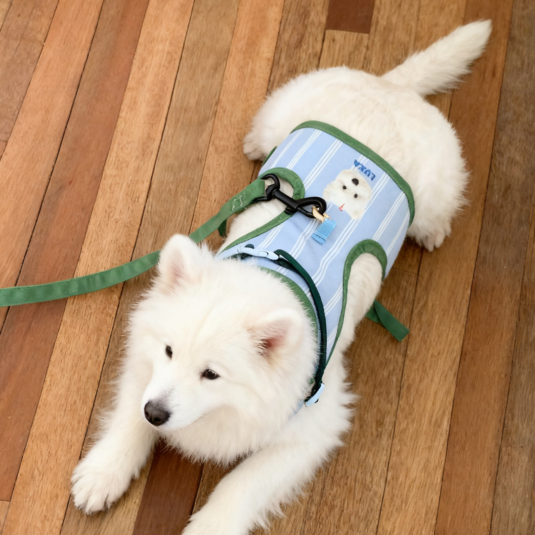 Custom Pet Portrait Harness & Leash Set | Personalized Dog Cat Walking Gear | Pet Gift